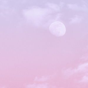 Meet your Posher, Latina